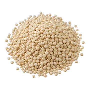 Un petit tas de quinoa sec